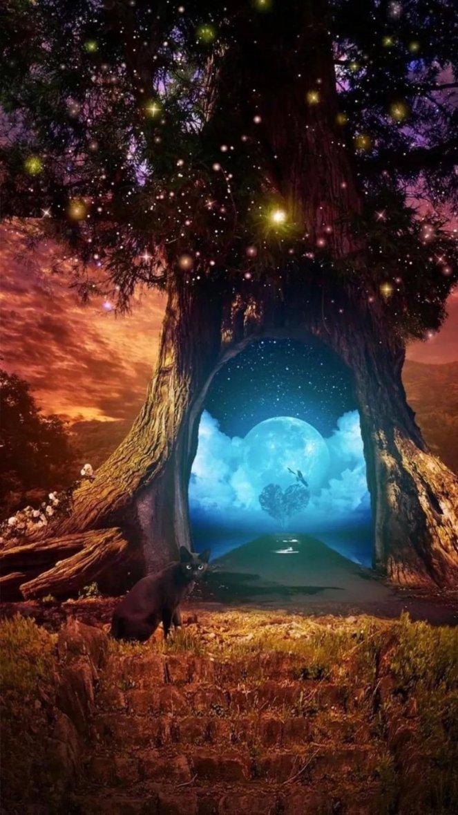 专业知识星球平台曾黎赵露思当场动手,拍摄期间两个人就没停过,两人演技如何?,高效学习共享交流